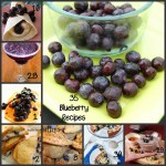 35 things to do with Blueberries