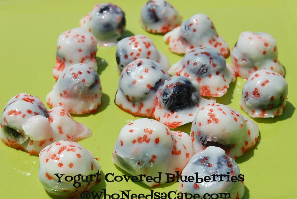 Yogurt Covered Blueberries
