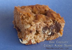 Dark Chocolate Coconut Almond Squares