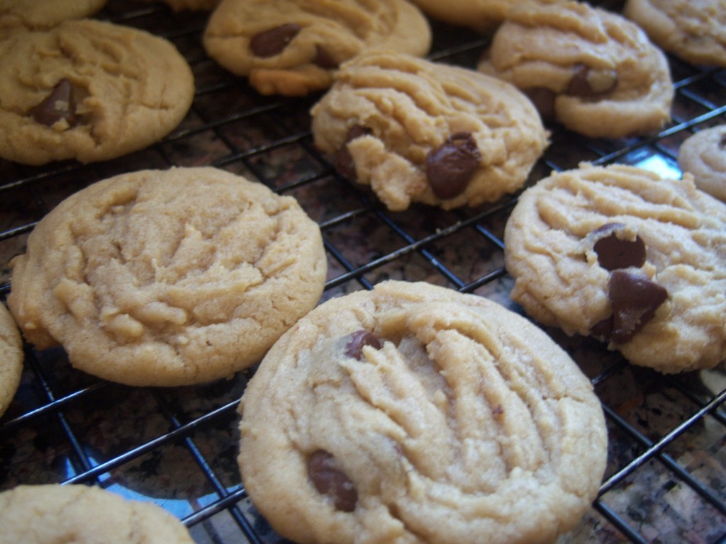 Biscoff Chocolate Chip Cookies