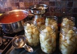 Grab those apples during harvest season and get canning. Presenting step by step instruction on How to Can Apples, you'll love how simple this really is.