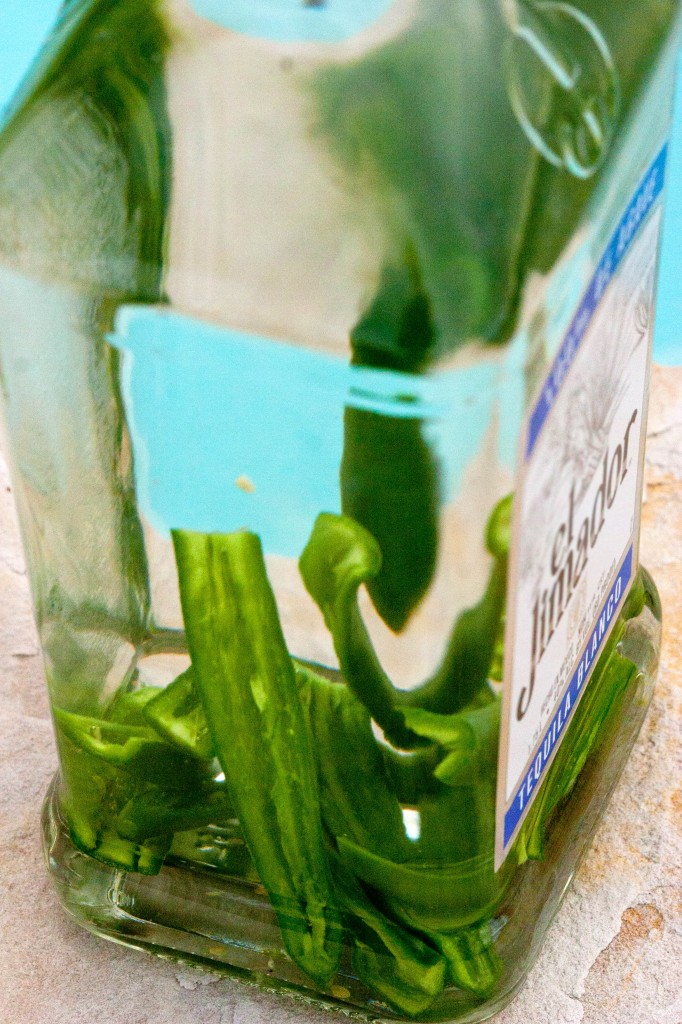 Pepper Infused Tequila