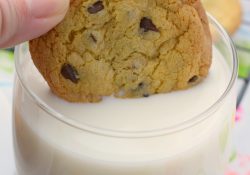 Need cookies, and you find out you have no butter? No problem! Make these No Butter Chocolate Chip Cookies and you'll get your dairy-free cookie fix!