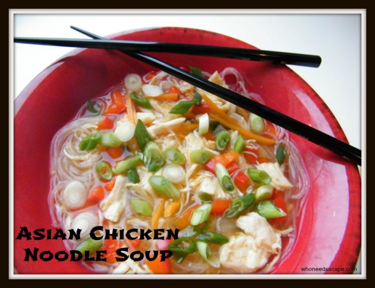 Asian Chicken Noodle Soup