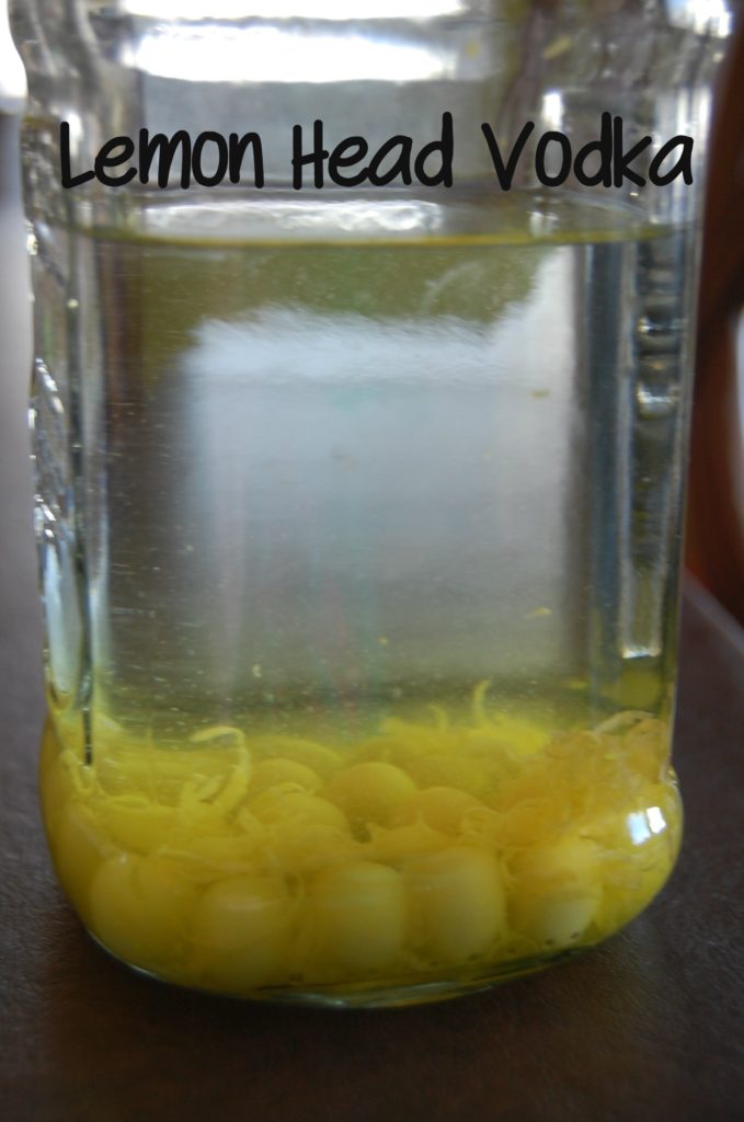 Lemon Head Infused Vodka
