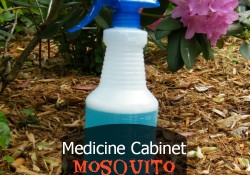 Medicine Cabinet Mosquito Repellent | Who Needs A Cape?
