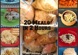 20 Meals in 2 Hours Slow Cooker Freezer Meals | Who Needs A Cape?