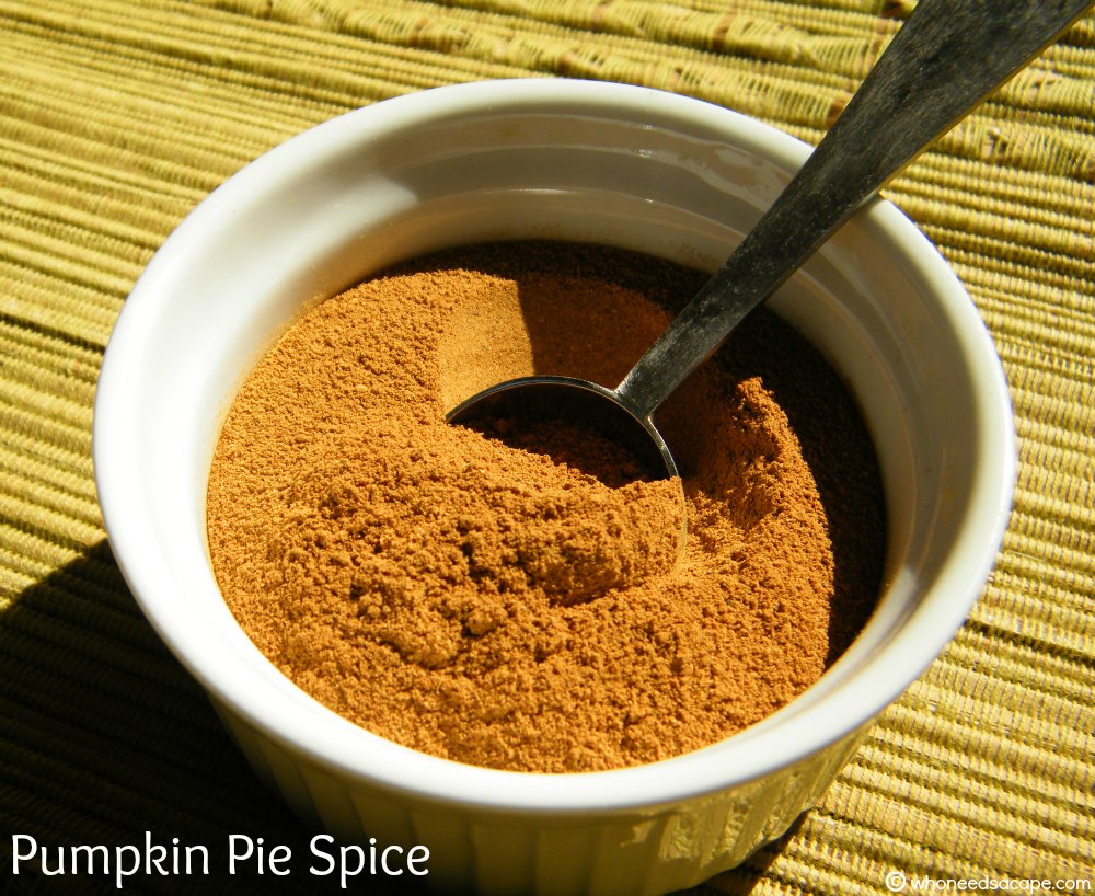 Pumpkin Pie Spice Mix - Who Needs A Cape?