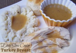 Easy Slow Cooker Turkey Breast | Who Needs A Cape?