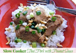 Slow Cooker Thai Pork with Peanut Sauce | Who Needs A Cape?