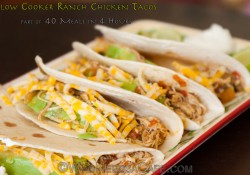 Ranch Chicken Tacos 40 Meals in 4 Hours