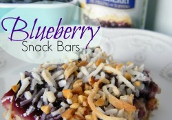 Blueberry Snack Bars | Who Needs A Cape?