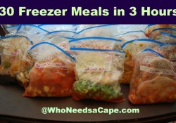 30 Summer Freezer Meals in 3 Hours