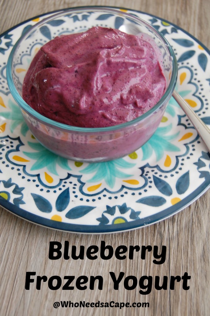 Blueberry Frozen Yogurt