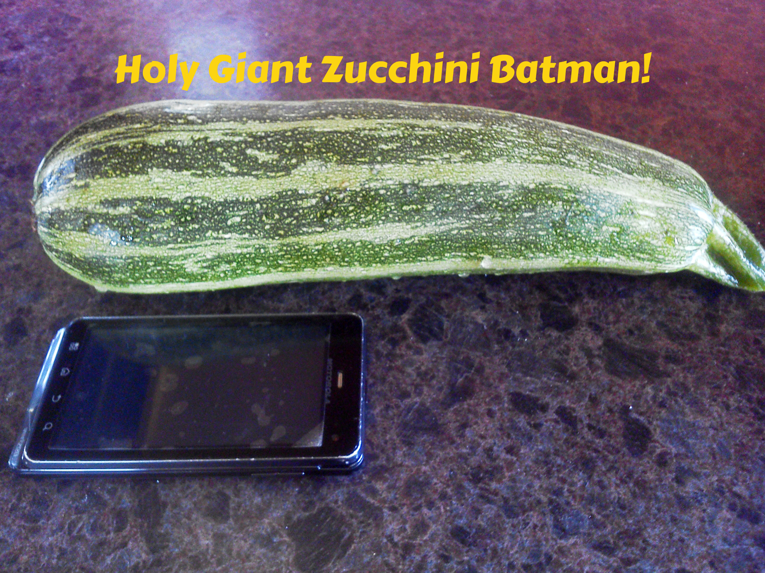 Blueberry Zucchini Bread - Who Needs A Cape?