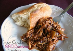 Slow Cooker BBQ Cranberry Chicken | Who Needs A Cape?