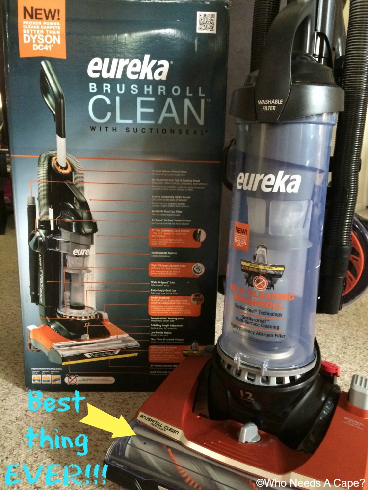 Tackle The Hairy Mess In Your Home