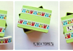 Craft Your Own Box Tops Collection Container | Who Needs A Cape?