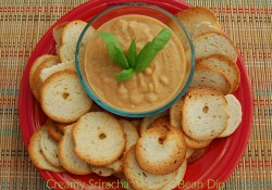 Getting ready to watch the big game and need something yummy? Try this Creamy Sriracha Bean Dip, packed full of flavor, perfect for crackers or veggies.