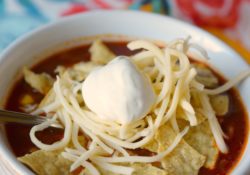 Slow Cooker Turkey Taco Soup is an easy meal to prepare with just a few ingredients. Tasty & filling this crockpot dinner will make the family happy.