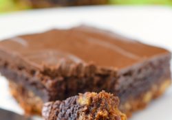 Triple Layer Frosted Brownies, an easy to make decadent treat that you'll love. With a pretzel crust, brownie layer and frosting, this is a yummy dessert!