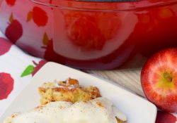Dutch Apple Cobbler with Cheesecake Topping makes a wonderful dessert for a crowd. Serve for brunch or a holiday dessert, it is a tasty autumn treat.
