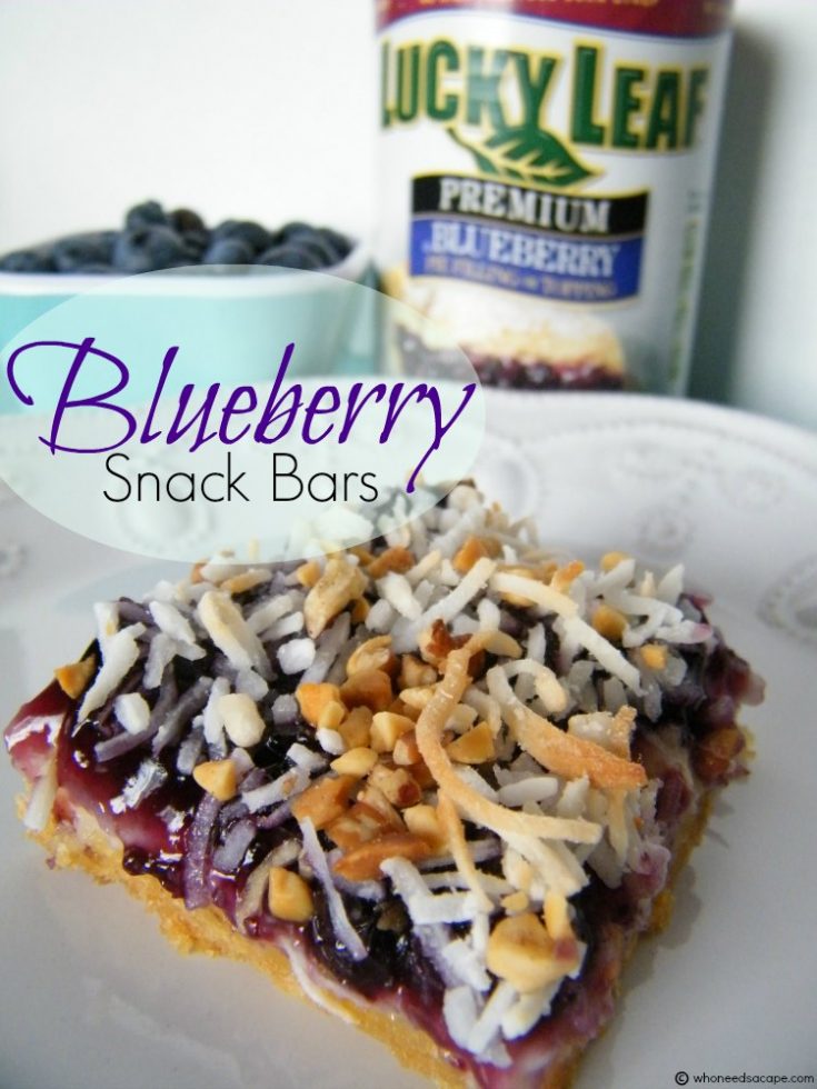 Blueberry Snack Bars