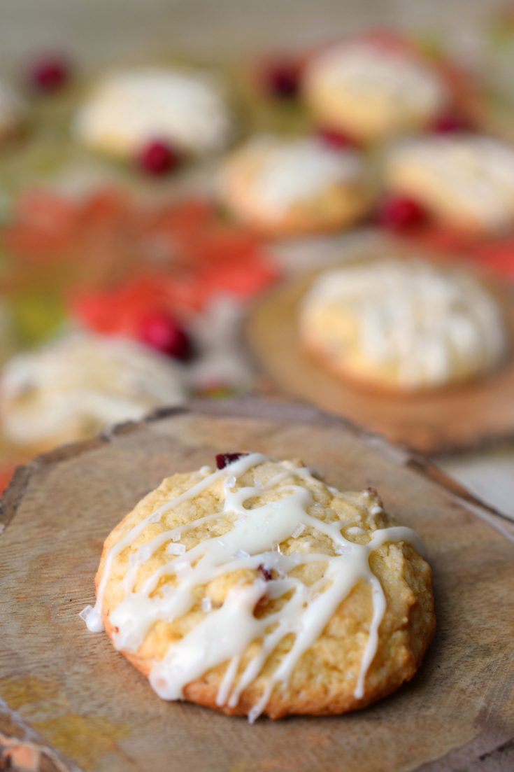 Cranberry White Chocolate Chip Drop Cookies