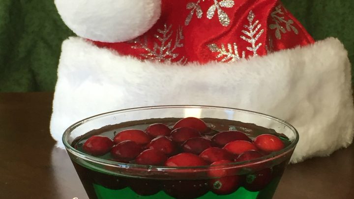 Ice mold Fun with Tovolo + Cranberry Jingle Juice Recipe + Giveaway