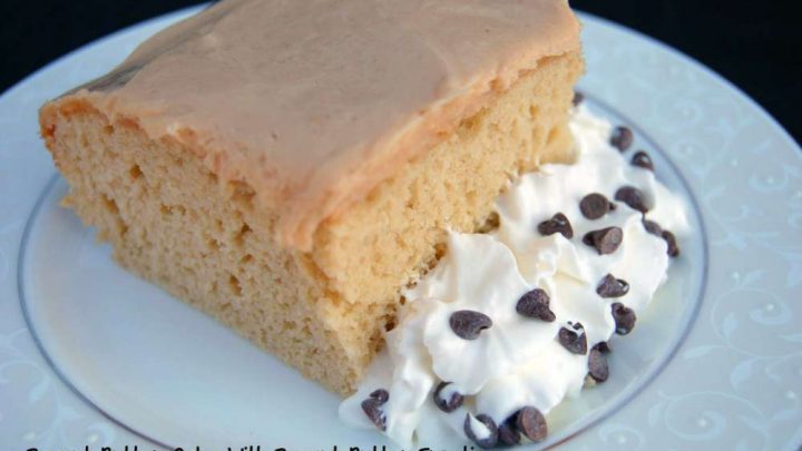 Peanut Butter Cake With Cream Cheese Peanut Butter Frosting