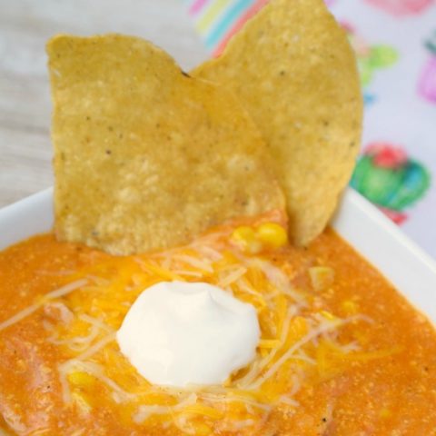 Slow Cooker Chicken Enchilada Soup-image