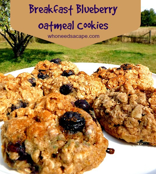 Breakfast Blueberry Oatmeal Cookies