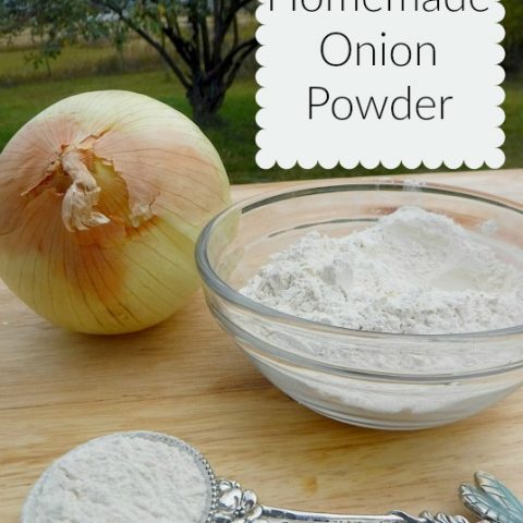 Homemade Onion Powder-image