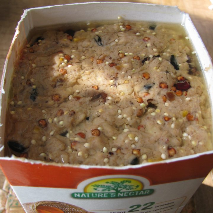 Homemade Wild Bird Suet Who Needs A Cape
