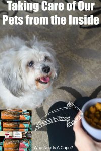 Taking Care Of Our Pets From The Inside